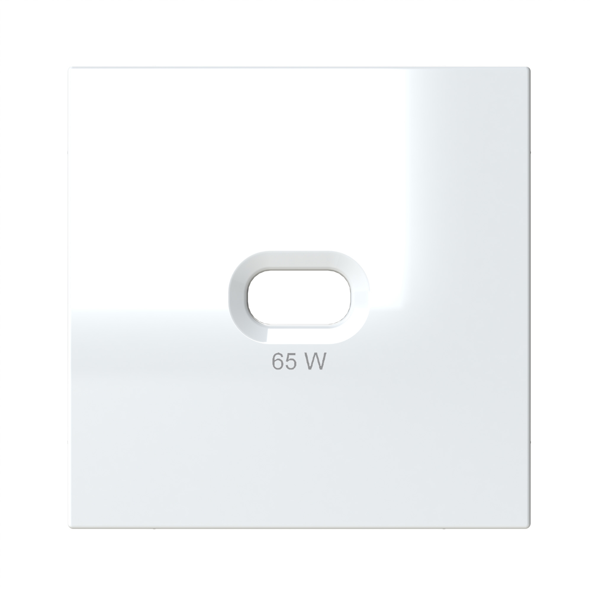 Abdeckplatte für OPUS 55 USB-C Steckdose, 65 W, polarweiß-seidenglanz